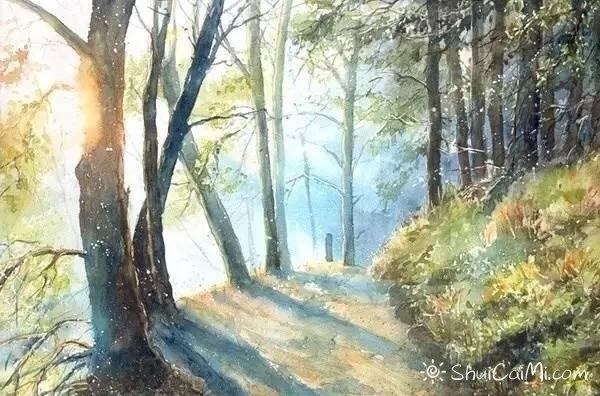 波兰画家Malgorzata Szczecinska森林自然水彩绘 - 爱画网