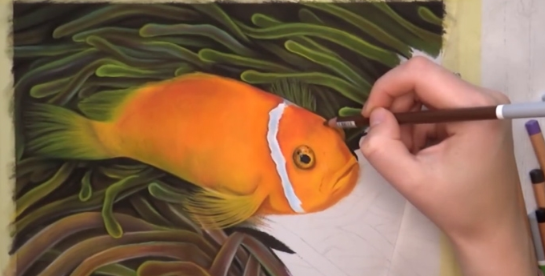 小丑鱼怎么画彩铅图片