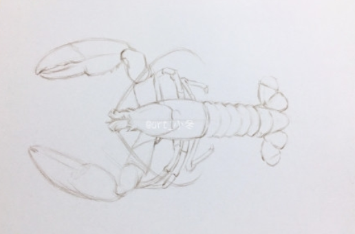 写实小龙虾彩铅画步骤教程