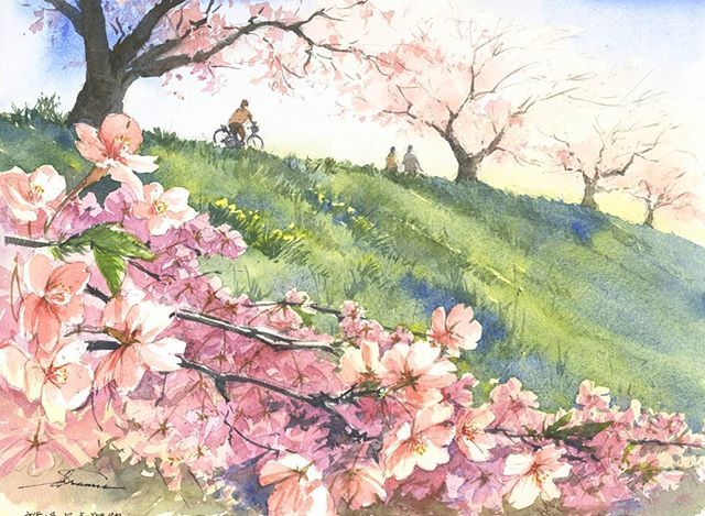 ins画师osamushibatakosaisya笔下盛开的春日樱花水彩画作品欣赏67