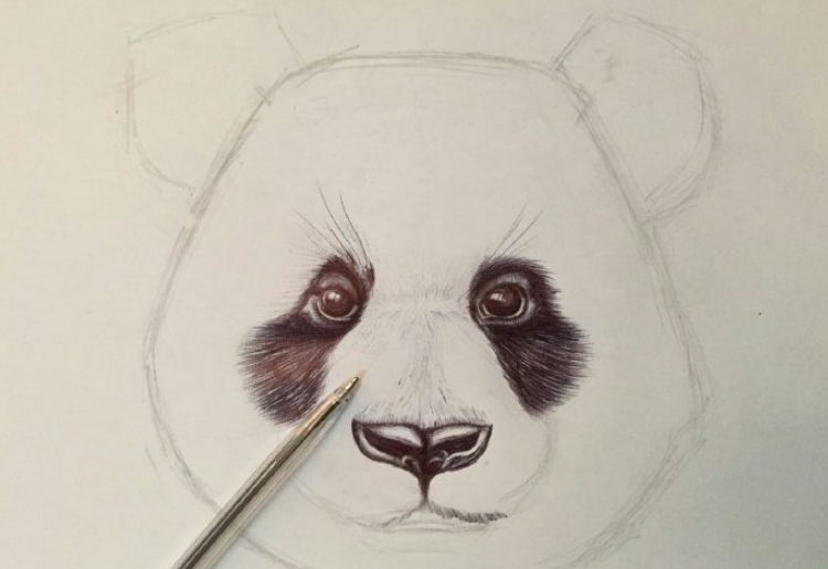 圆珠笔画熊猫手绘步骤教程