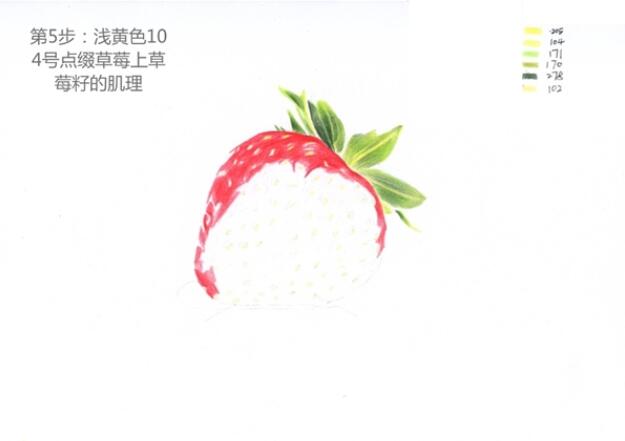 草莓彩铅画手绘教程