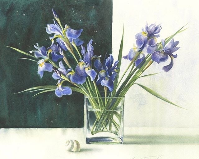 俄罗斯画家elenabazanova花卉静物水彩图片作品欣赏