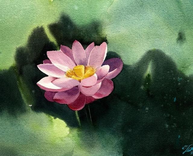 泰国画家Tamra Chatikanon水彩画花卉写生作品 - 爱画网
