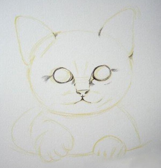 彩铅画可爱小猫咪手绘步骤教程