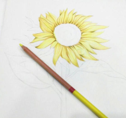 向日葵彩铅画手绘教程步骤 - 爱画网