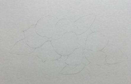 胭脂花彩铅画手绘步骤教程