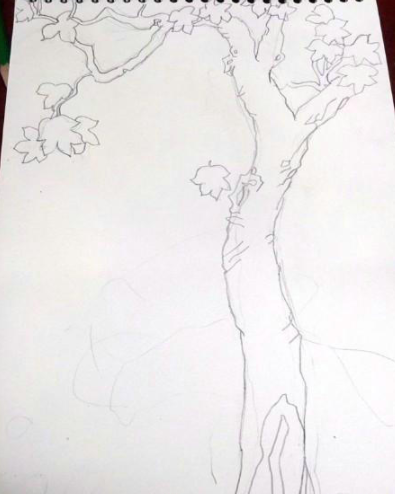 一棵梧桐树彩铅画画法教程步骤