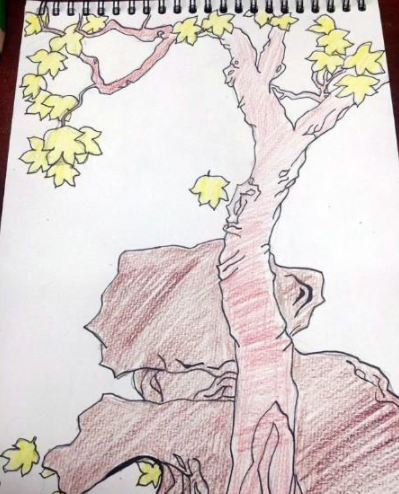 儿童梧桐树简笔画图片