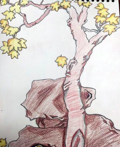 一棵梧桐树彩铅画画法教程步骤