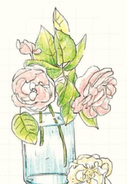 彩铅画迷人的蔷薇花绘画教程 第2 水彩迷
