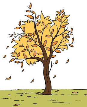 秋天的落叶简笔画步骤 秋天的树如何画