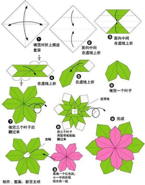 郁金香折纸过程图片