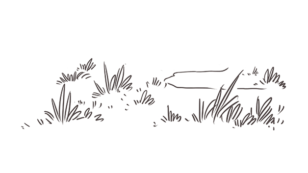 草地的简笔画怎么画草地简笔画简单又好看