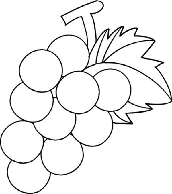 一串葡萄的简笔画怎么画一串葡萄简笔画好看