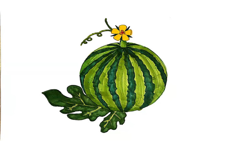 西瓜带叶子简笔画图片