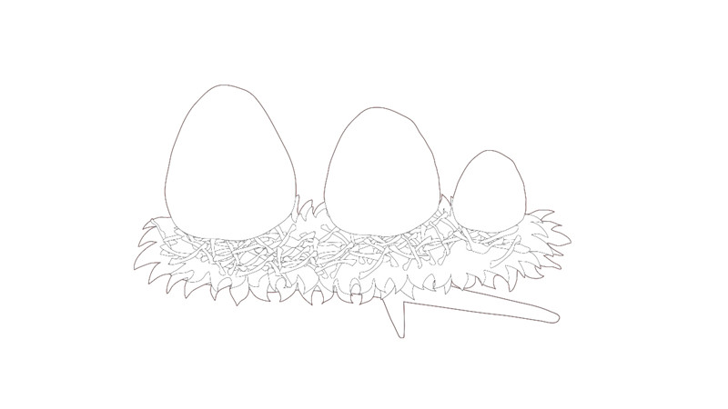 园丁鸟的巢简笔画图片