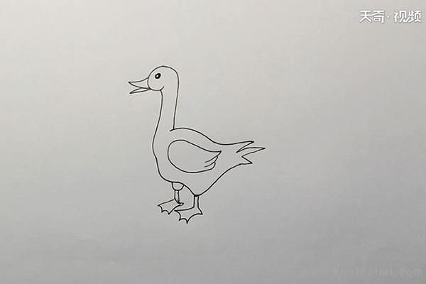 中华秋沙鸭怎么画图片