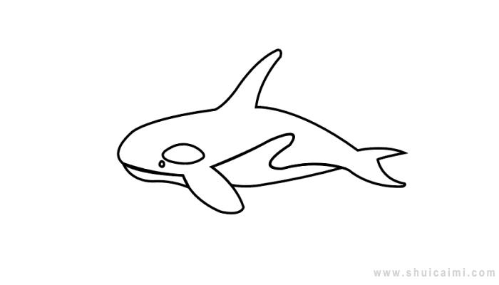 虎鲸简笔画怎么画虎鲸简笔画画法