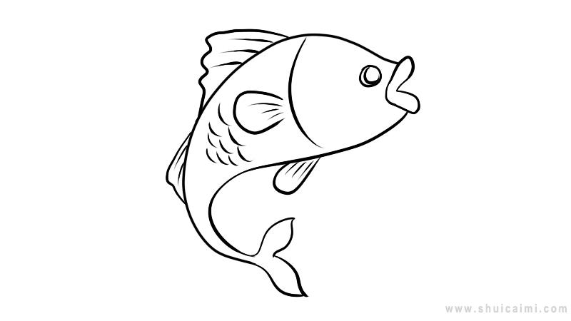 鱼的简笔画法中班图片