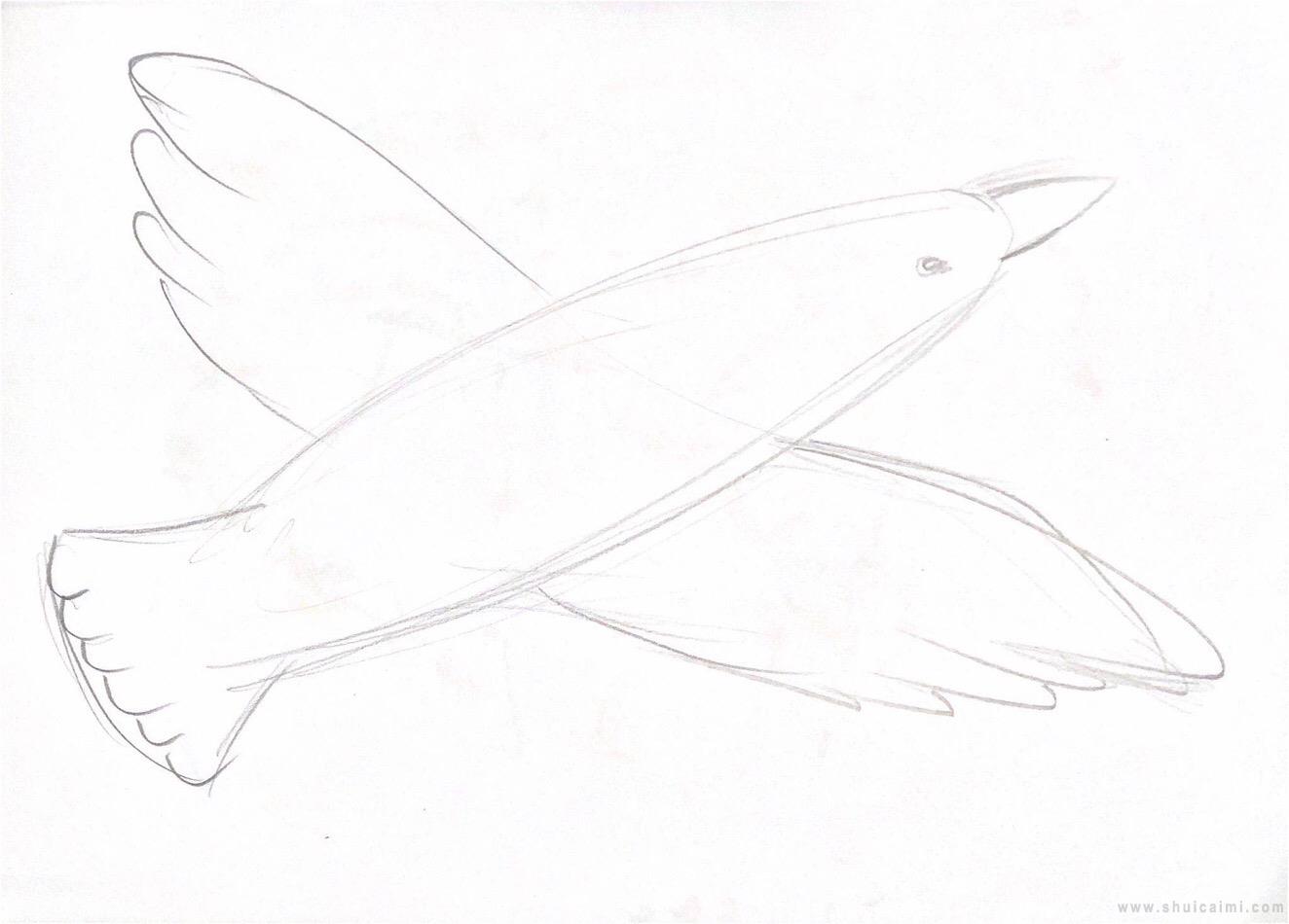 海燕简笔画简单图片