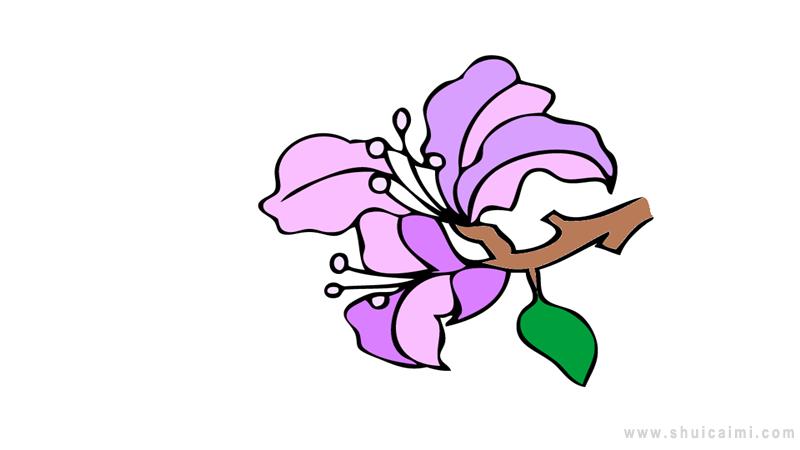 紫薇花树简笔画图片