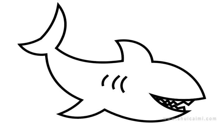 鲨鱼的鱼鳍简笔画图片