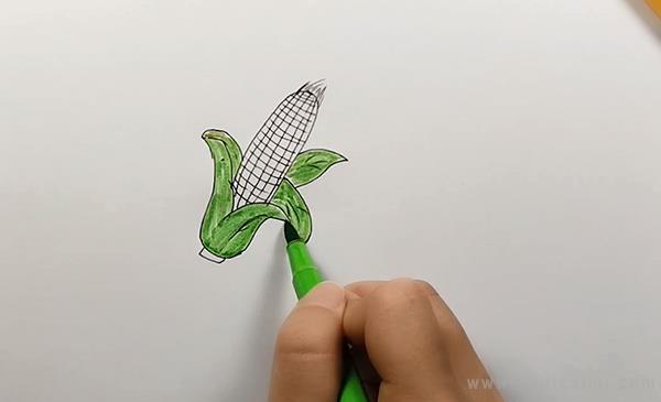 查找更多玉米的简笔画,玉米简笔画,玉米的画法相关的简笔画内容,就上