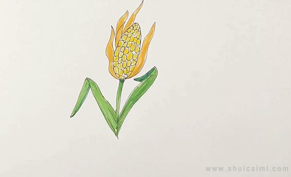 玉米叶简笔画图片
