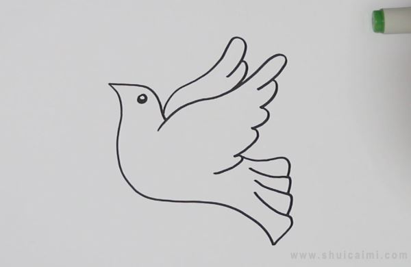 1,先画和平鸽的身体曲线,尽可能一笔画成,然后画翅膀和尾巴的轮廓