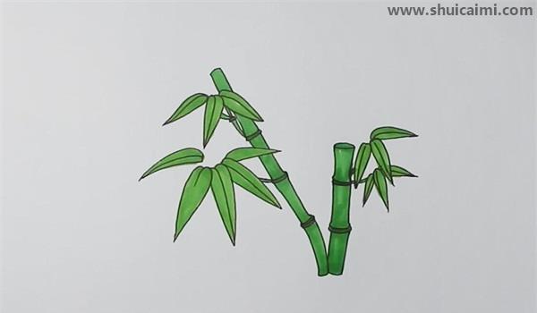 竹子的简笔画法彩色图片
