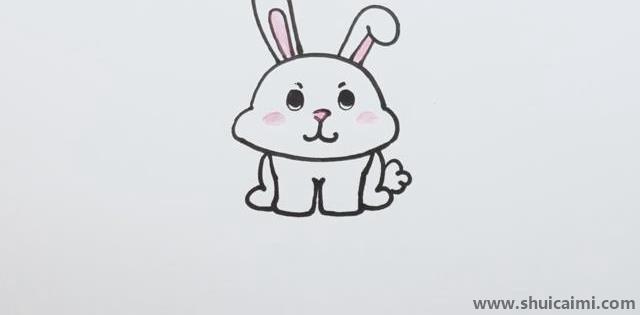 兔子老师简笔画图片