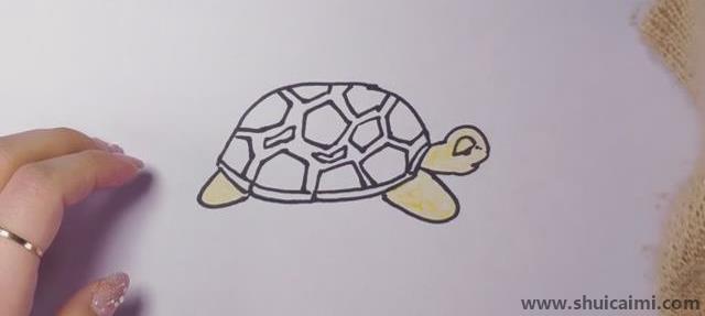 乌龟儿童简笔画怎么画乌龟儿童画好看