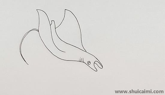 儿童画海里的魔鬼鱼图片