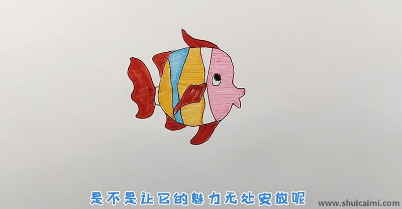 小丑鱼简笔画