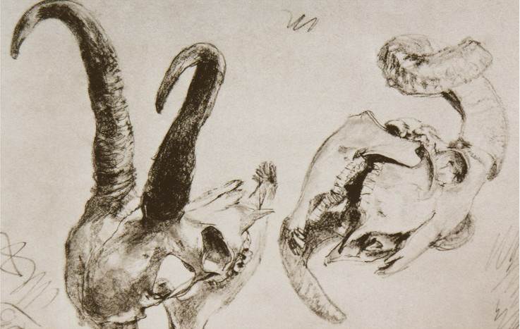 世界著名画家门采尔素描静物作品欣赏