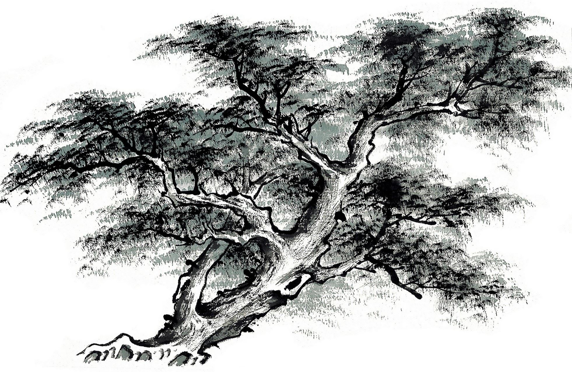 手绘高大别样的古树水墨画图片