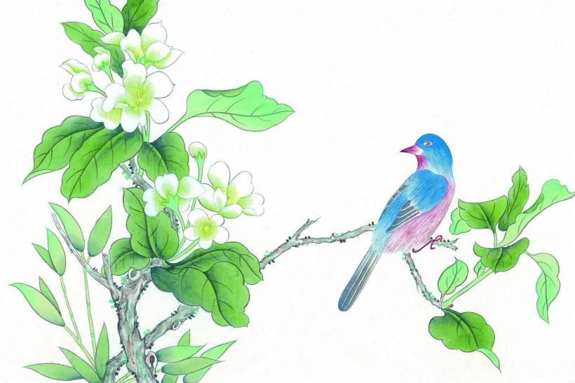 一组工笔花鸟画欣赏 梅花、竹林、松树工笔画图片分享