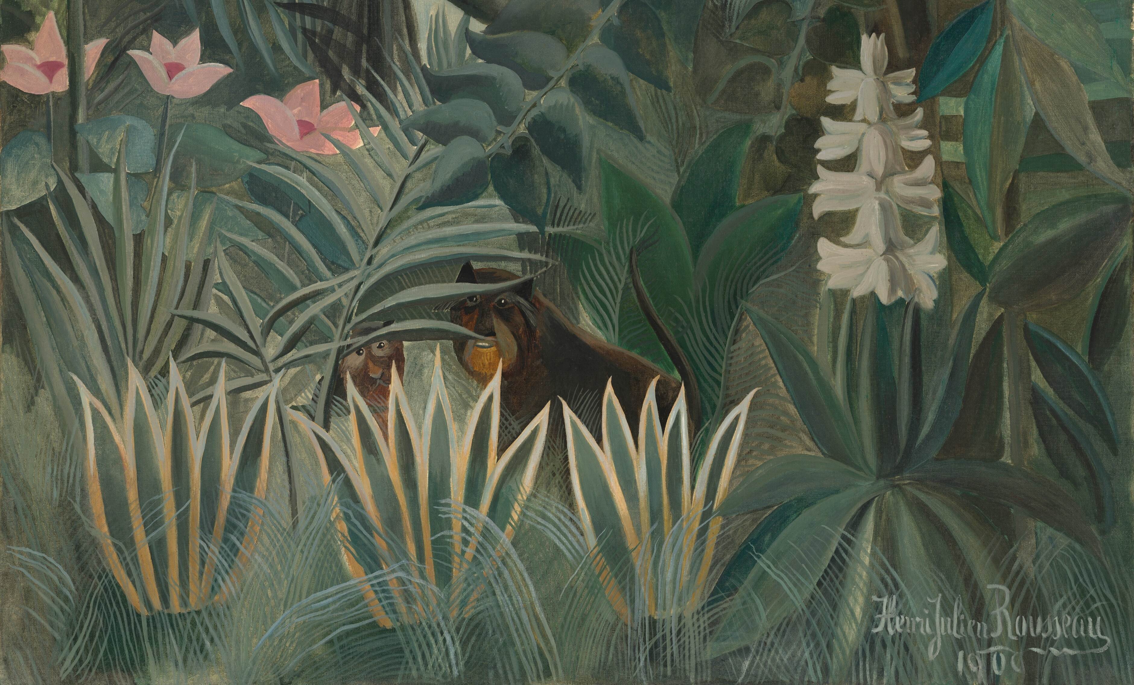 赤道地带的原始林theequatorialjungle亨利卢梭henrirousseau油画作品