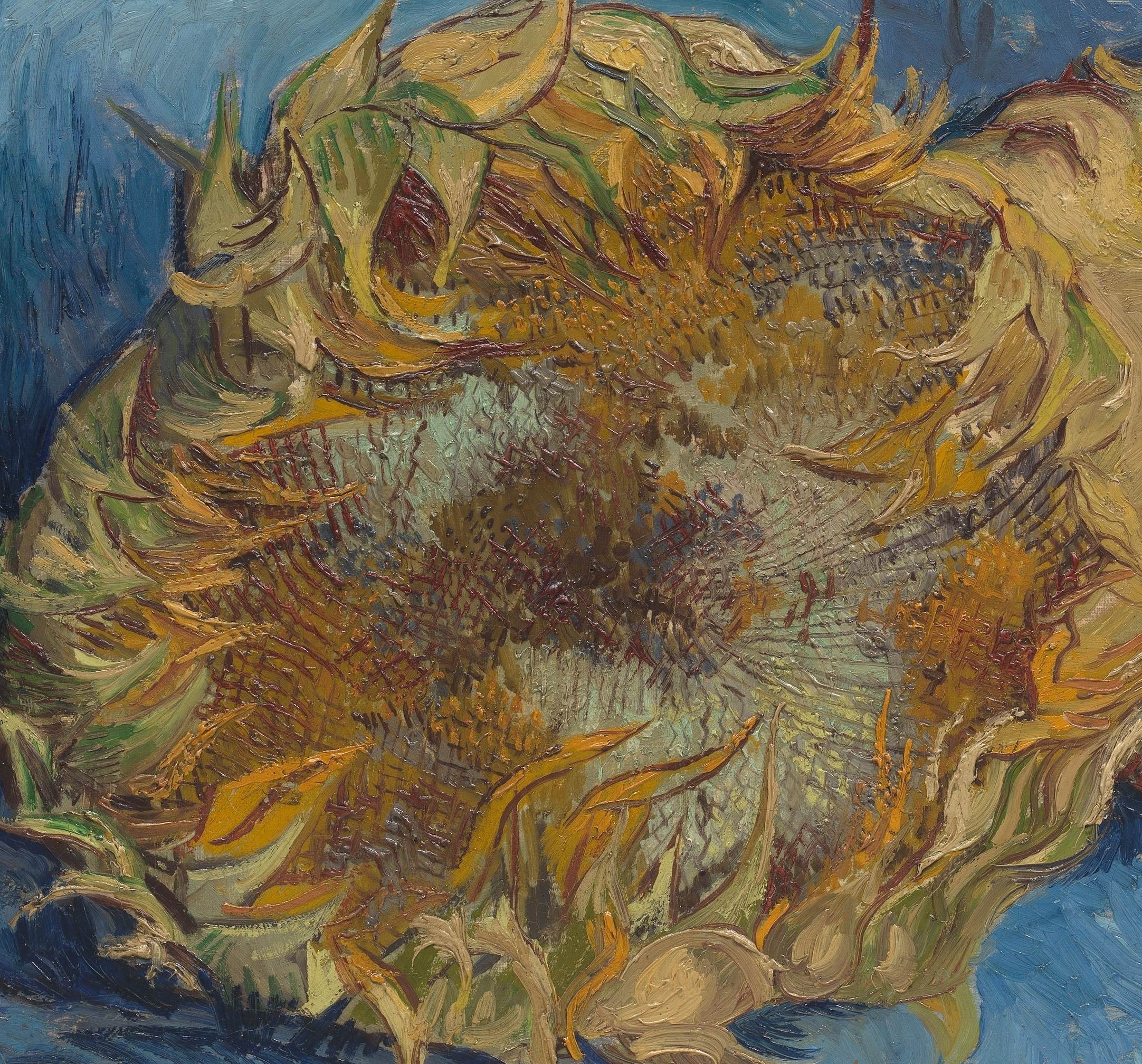 两朵向日葵sunflowers文森特梵高vincentvangogh油画作品欣赏
