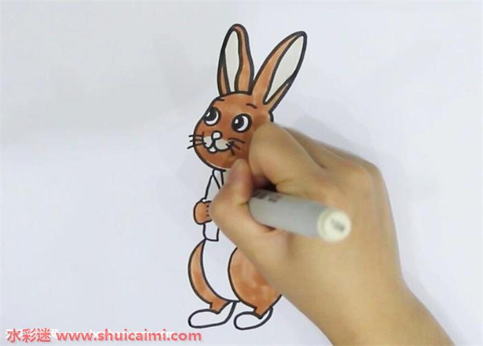 小兔彼得简笔画图片