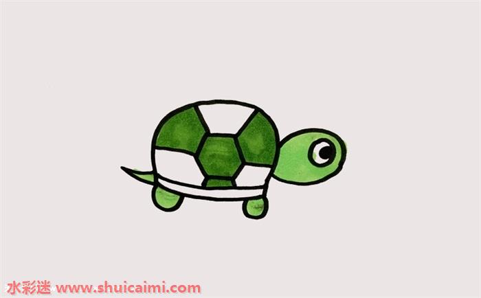 乌龟头饰图片简笔画图片