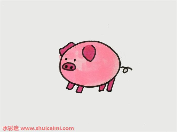 小猪简笔画上色图片