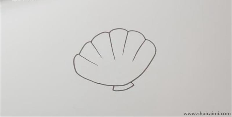 画小贝壳最简单的方法图片