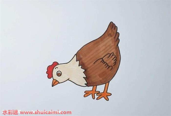 母鸡的简单画法怎么画图片