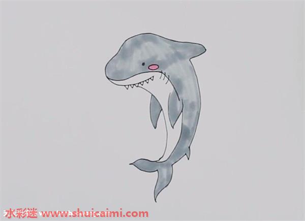 公牛鲨怎么画公牛鲨简笔画图片带颜色