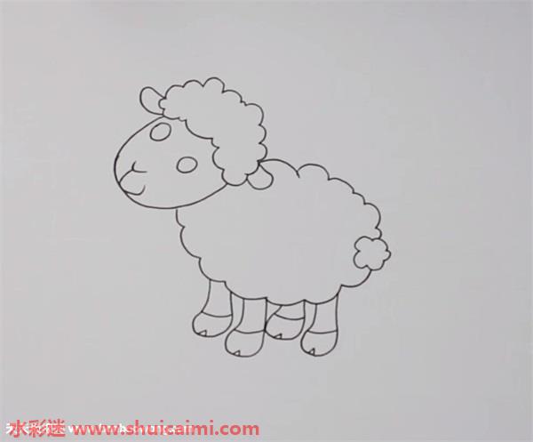 小羊的尾巴怎么画图片