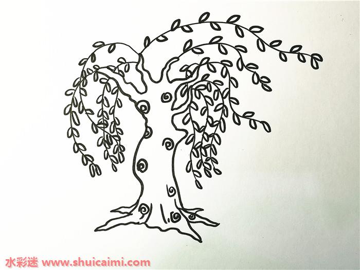 柳树怎样画最简单方法图片