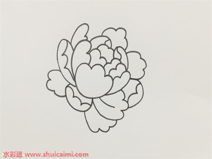 1,首先画出一个牡丹花的花瓣,顶端用类似于波浪的心型画出第一个花瓣