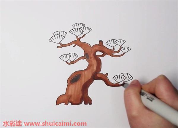 红岩松树简笔画图片